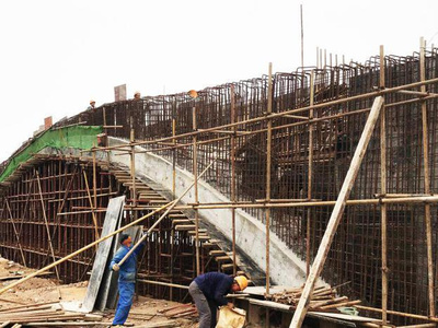 東湖綠道二期湖澤道五橋主體落成，再添城市生態新廊道